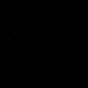 Meet your Posher, Isabella